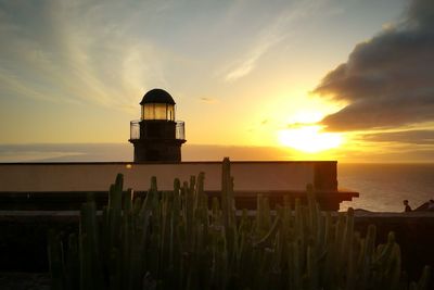 Cactus by lighthouse at sea shore against sky during sunset