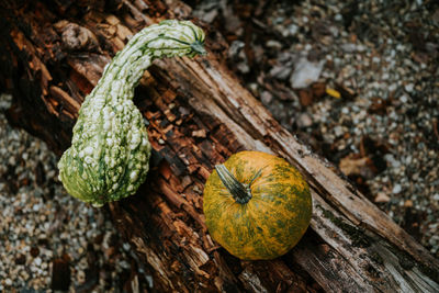 High angle view of pumpkin on wood