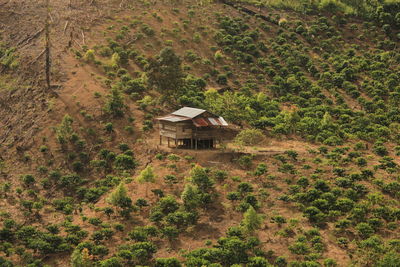 High angle view of house and trees on field