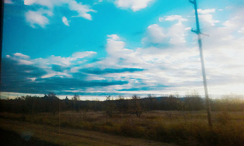 Trees on landscape against sky