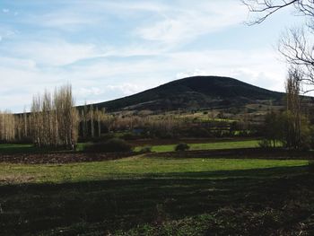 Scenic view of landscape against sky