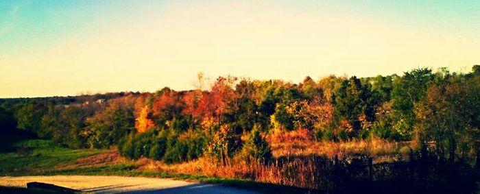 Scenic view of landscape at sunset