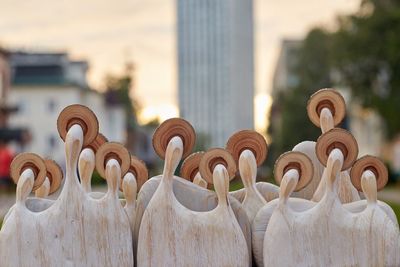 Close-up of red flower