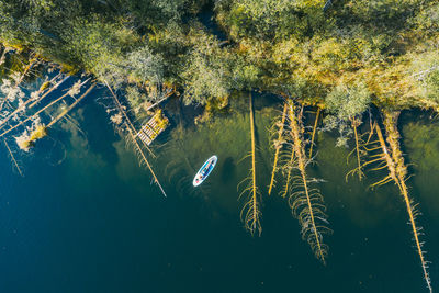 High angle view of plants in lake