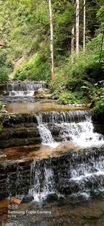 Scenic view of waterfall in forest