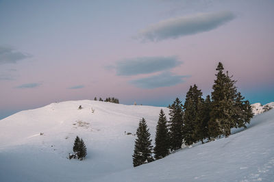 Scenic view of snow covered landscape against sky during sunset