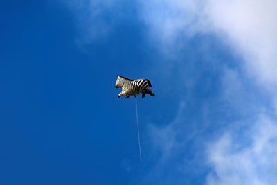 Low angle view of zebra helium balloon against sky