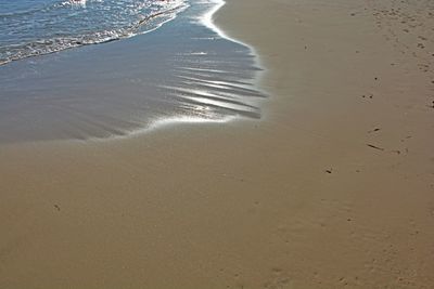 Scenic view of beach