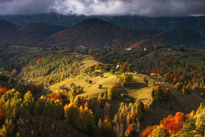 High angle view of trees on landscape against sky