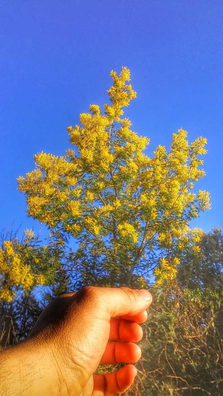 CLOSE-UP OF HANDS AGAINST BLUE SKY