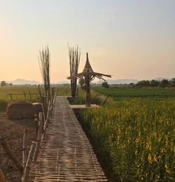 Scenic view of farm against sky during sunset