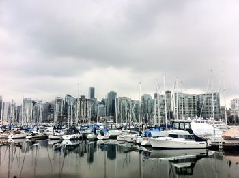 Boats in harbor with city in background