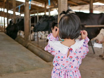 Rear view of girl standing in animal pen