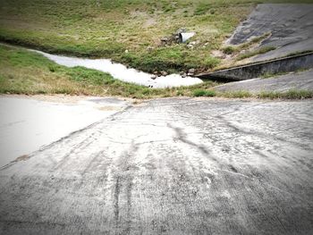 High angle view of horse on landscape