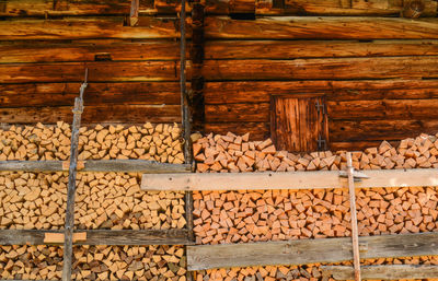 Stack of logs in forest