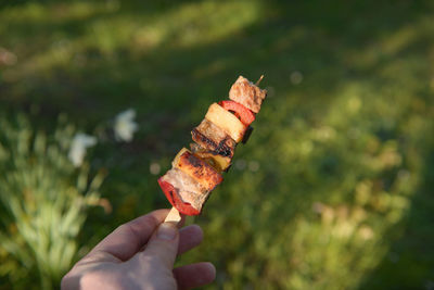 Close-up of hand holding kebab against grass