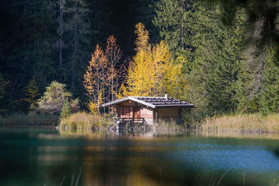 Gazebo by lake in forest during autumn