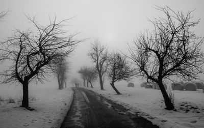 Bare trees on snow covered landscape against sky