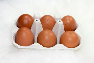Fresh eggs in carton 