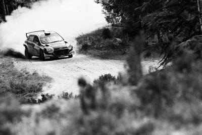 Car on dirt road amidst trees