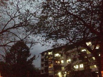 Low angle view of trees against sky in city