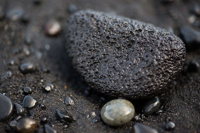 Close-up of pebbles on shore