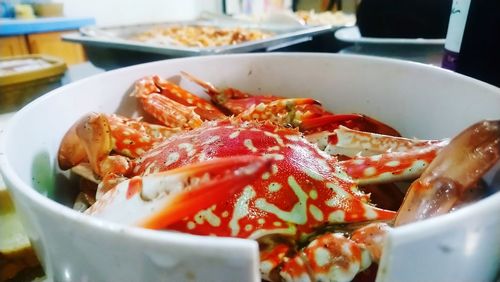 Close-up of meal served in plate