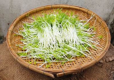 High angle view of vegetables in bowl