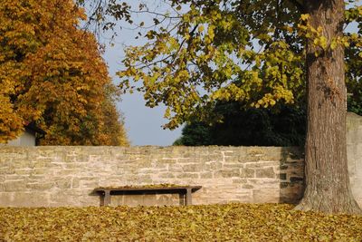 Built structure with trees in background