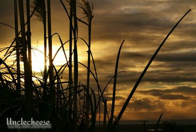 Scenic view of cloudy sky at sunset