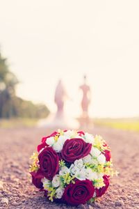 Close-up of rose bouquet