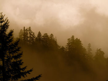 Low angle view of trees against cloudy sky