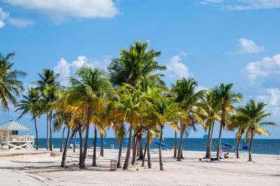 Palm trees on beach against sky