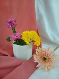 Close-up of daisy flower vase