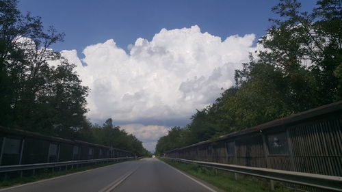 Road passing through trees