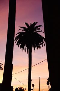 Low angle view of silhouette palm trees against sky