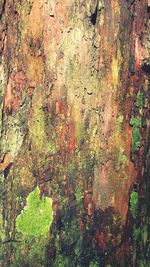 Full frame shot of multi colored water