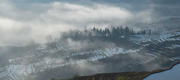 Yuanyang rice terrace, yunnan, china