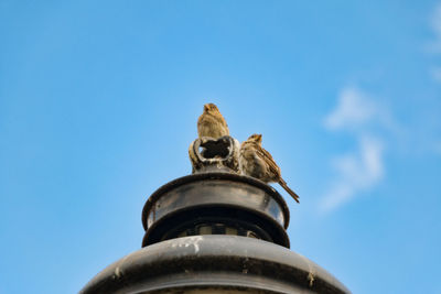 Low angle view of statue against blue sky