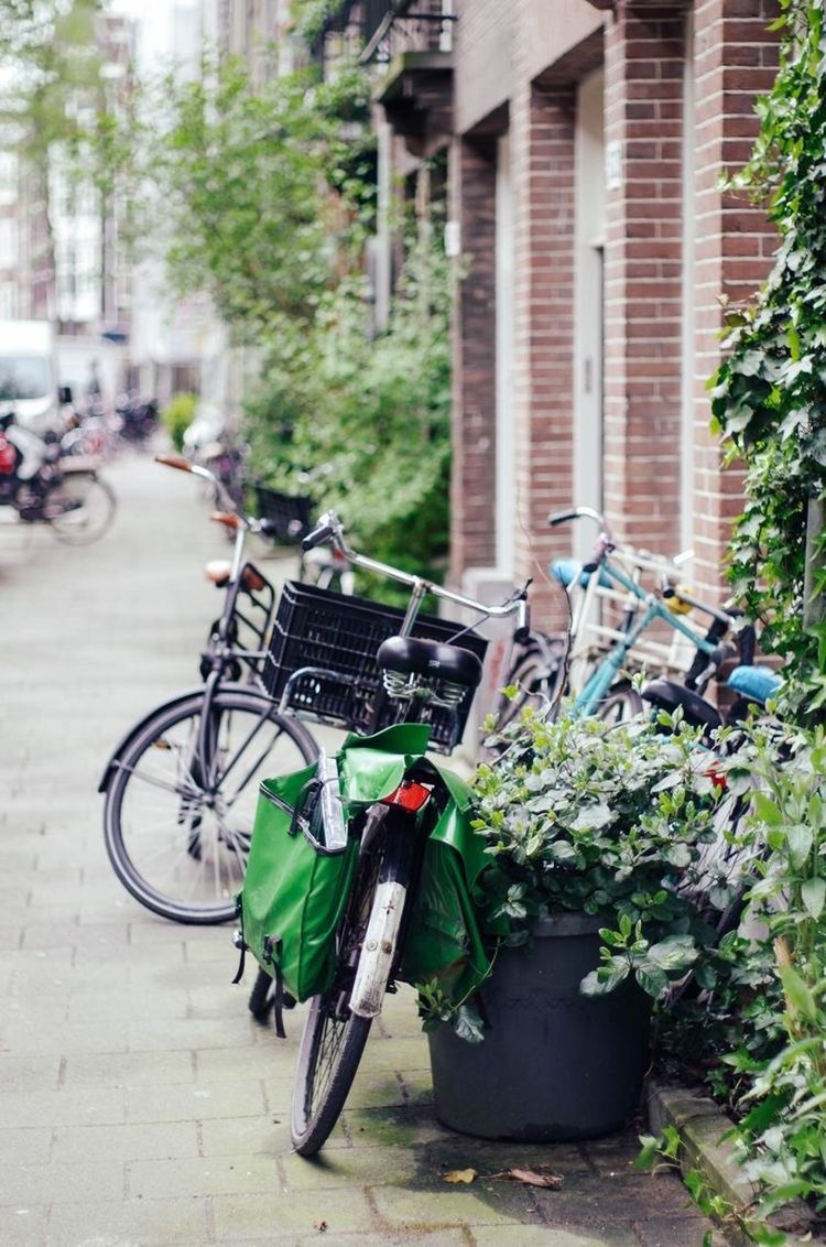 POTTED PLANTS ON BICYCLE BY STREET AGAINST BUILDINGS