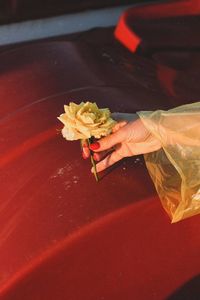 Close-up of hand holding flower bouquet on red table