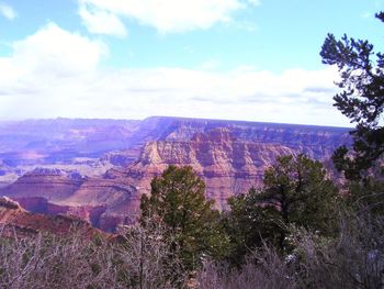 View of trees on landscape against cloudy sky