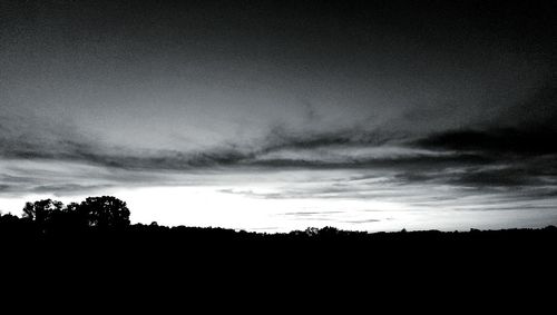 Silhouette of trees at sunset