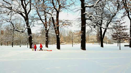 People on snowcapped landscape