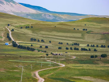 Scenic view of agricultural field