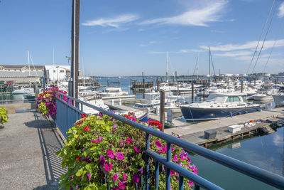 Sailboats moored at harbor against sky