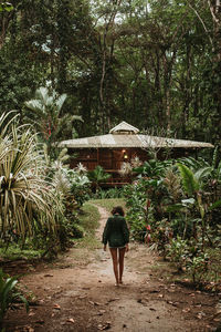 Back view of lonely woman walking on narrow path between rows of green tropical plants with house during vacation