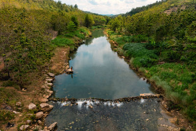 Scenic view of river amidst trees against sky