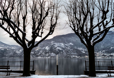 Bare tree by lake against sky