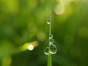 Close-up of bubbles in water